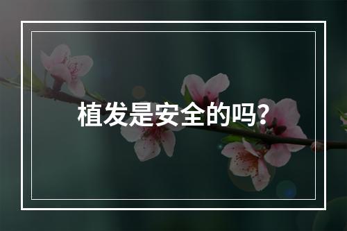 植发是安全的吗？