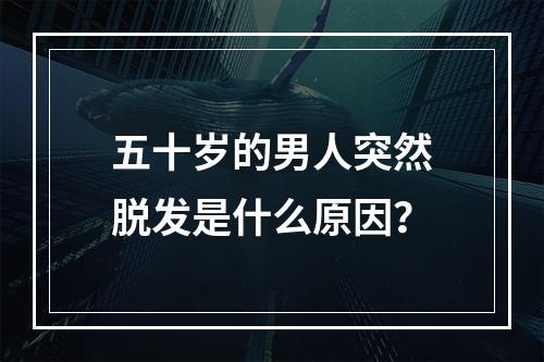 五十岁的男人突然脱发是什么原因？