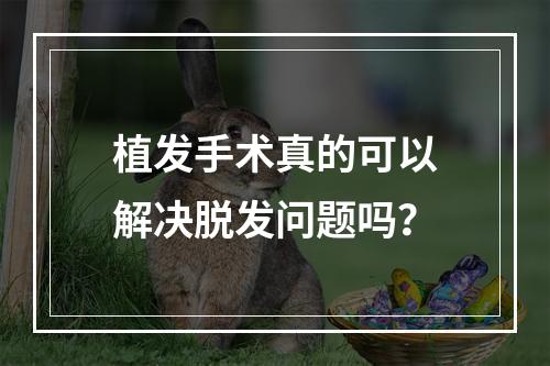 植发手术真的可以解决脱发问题吗？