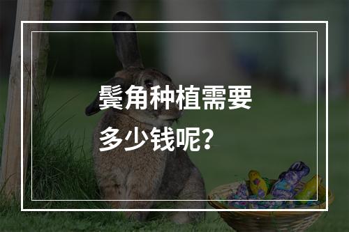 鬓角种植需要多少钱呢？