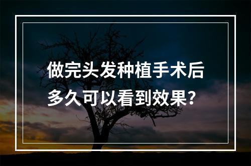 做完头发种植手术后多久可以看到效果？