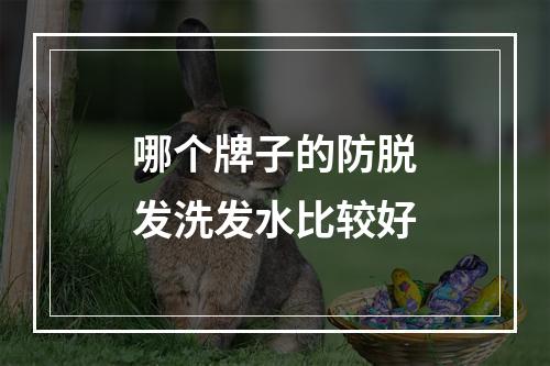 哪个牌子的防脱发洗发水比较好