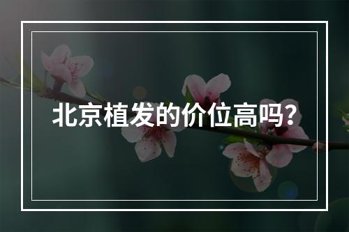 北京植发的价位高吗？