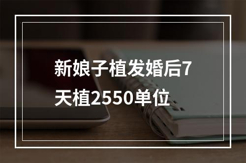 新娘子植发婚后7天植2550单位