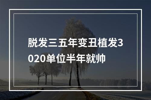 脱发三五年变丑植发3020单位半年就帅