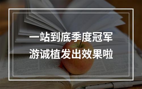 一站到底季度冠军游诚植发出效果啦