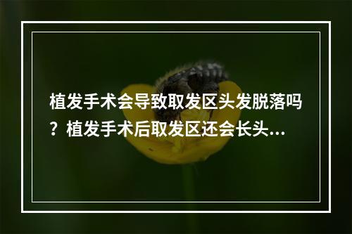 植发手术会导致取发区头发脱落吗？植发手术后取发区还会长头发吗？ 植发后取发区会长新发吗