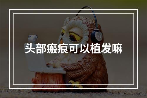 头部瘢痕可以植发嘛