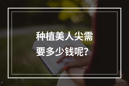 种植美人尖需要多少钱呢？