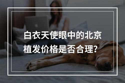 白衣天使眼中的北京植发价格是否合理？