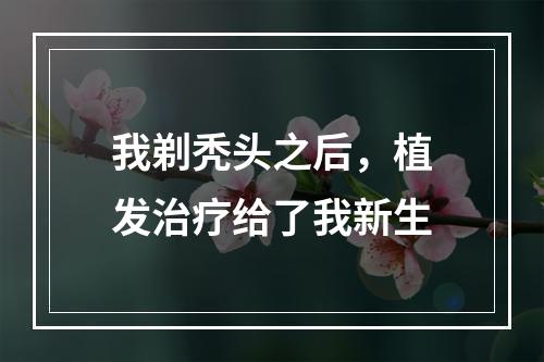 我剃秃头之后，植发治疗给了我新生