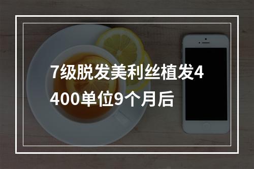 7级脱发美利丝植发4400单位9个月后