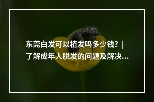 东莞白发可以植发吗多少钱？| 了解成年人脱发的问题及解决方案