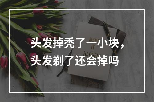 头发掉秃了一小块，头发剃了还会掉吗