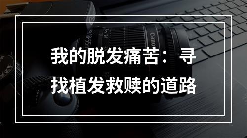 我的脱发痛苦：寻找植发救赎的道路