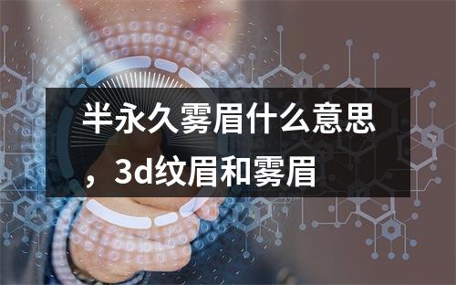 半永久雾眉什么意思，3d纹眉和雾眉