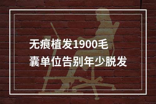 无痕植发1900毛囊单位告别年少脱发