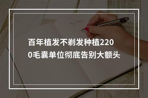 百年植发不剃发种植2200毛囊单位彻底告别大额头