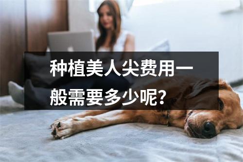 种植美人尖费用一般需要多少呢？