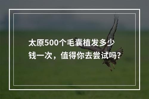 太原500个毛囊植发多少钱一次，值得你去尝试吗？