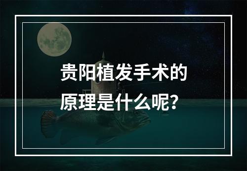 贵阳植发手术的原理是什么呢？