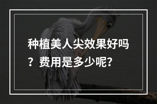 种植美人尖效果好吗？费用是多少呢？