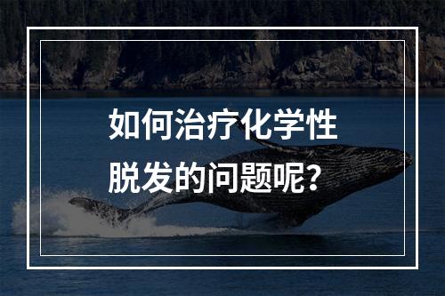 如何治疗化学性脱发的问题呢？