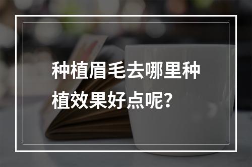 种植眉毛去哪里种植效果好点呢？