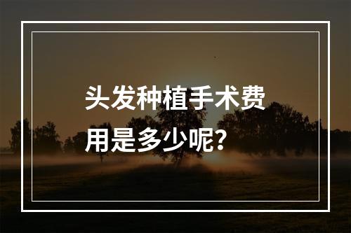 头发种植手术费用是多少呢？