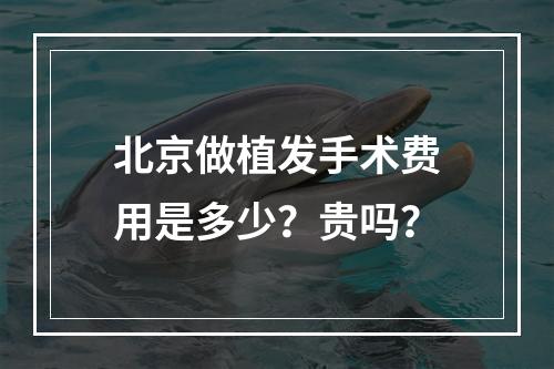 北京做植发手术费用是多少？贵吗？