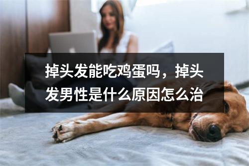 掉头发能吃鸡蛋吗，掉头发男性是什么原因怎么治