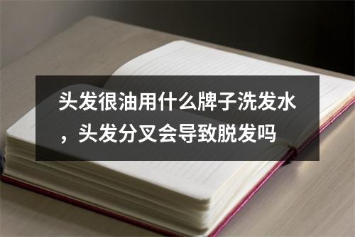 头发很油用什么牌子洗发水，头发分叉会导致脱发吗