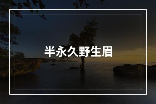 半永久野生眉