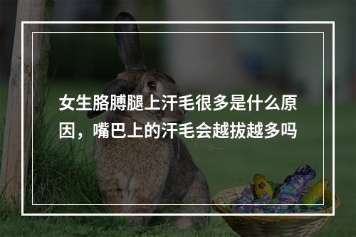 女生胳膊腿上汗毛很多是什么原因，嘴巴上的汗毛会越拔越多吗