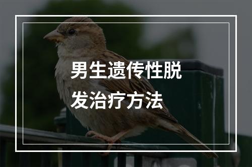 男生遗传性脱发治疗方法