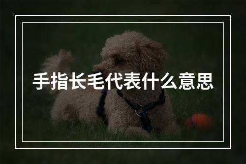 手指长毛代表什么意思