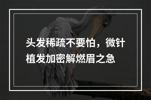 头发稀疏不要怕，微针植发加密解燃眉之急