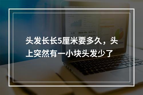 头发长长5厘米要多久，头上突然有一小块头发少了