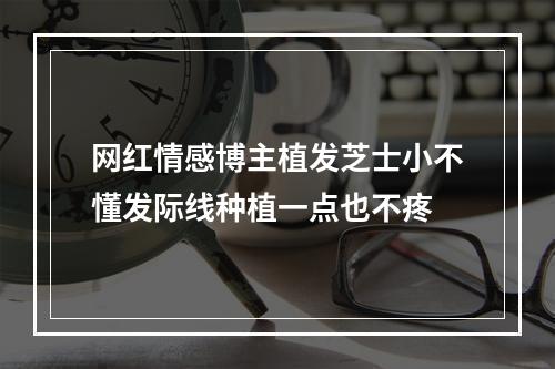 网红情感博主植发芝士小不懂发际线种植一点也不疼