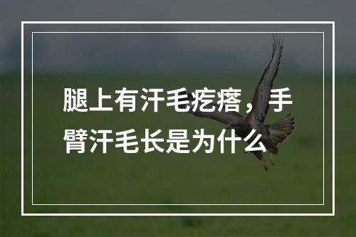 腿上有汗毛疙瘩，手臂汗毛长是为什么