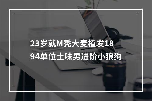 23岁就M秃大麦植发1894单位土味男进阶小狼狗