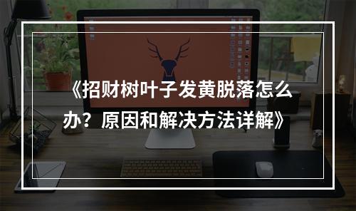 《招财树叶子发黄脱落怎么办？原因和解决方法详解》