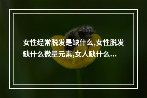 女性经常脱发是缺什么,女性脱发缺什么微量元素,女人缺什么会导致脱发