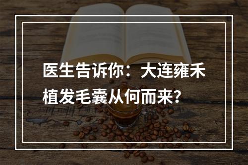 医生告诉你：大连雍禾植发毛囊从何而来？