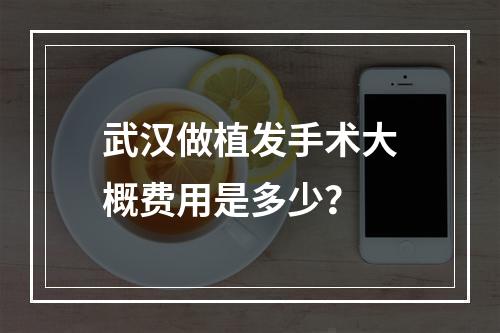 武汉做植发手术大概费用是多少？