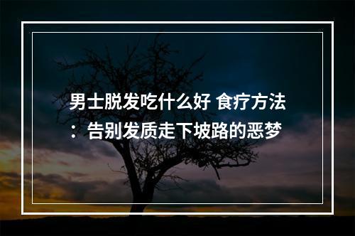 男士脱发吃什么好 食疗方法：告别发质走下坡路的恶梦