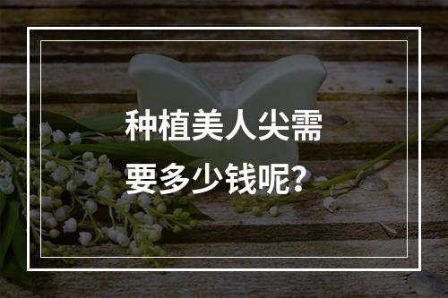 种植美人尖需要多少钱呢？