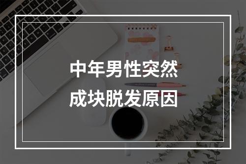 中年男性突然成块脱发原因