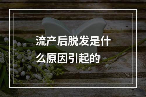 流产后脱发是什么原因引起的