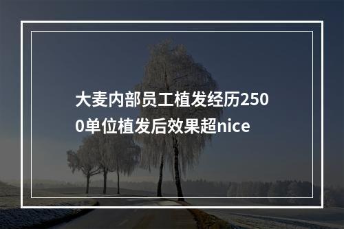 大麦内部员工植发经历2500单位植发后效果超nice